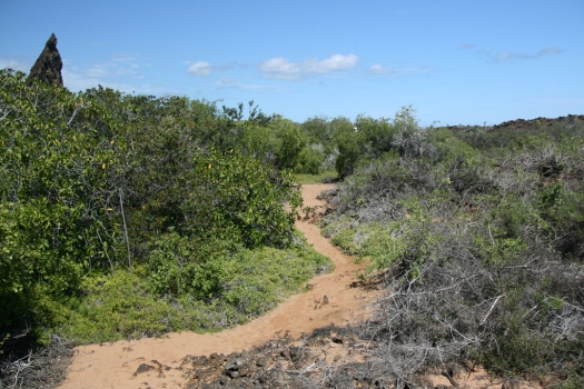Galapagos Bartolome Island Path